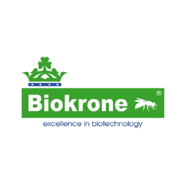 logo cliente-13